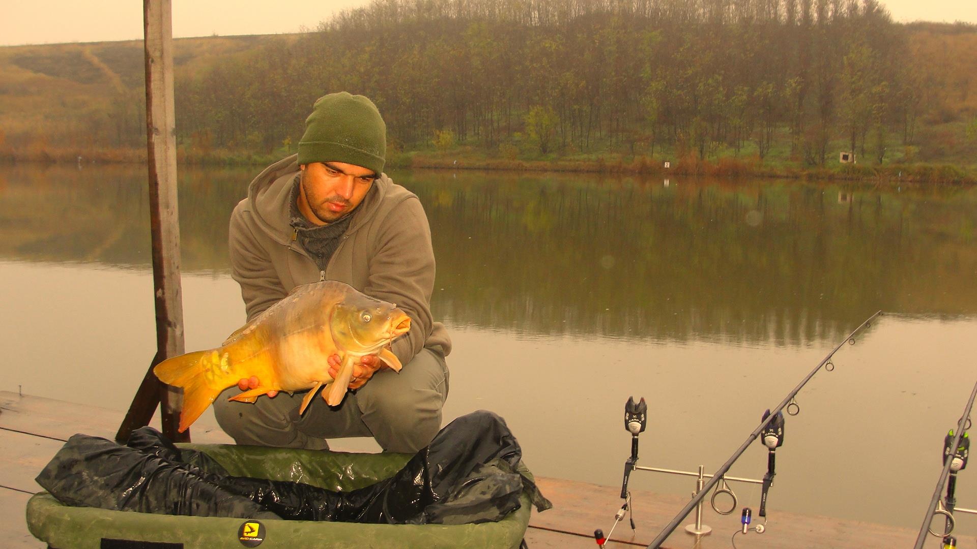 Magura 9 23 - 23 nov. - 10.JPG